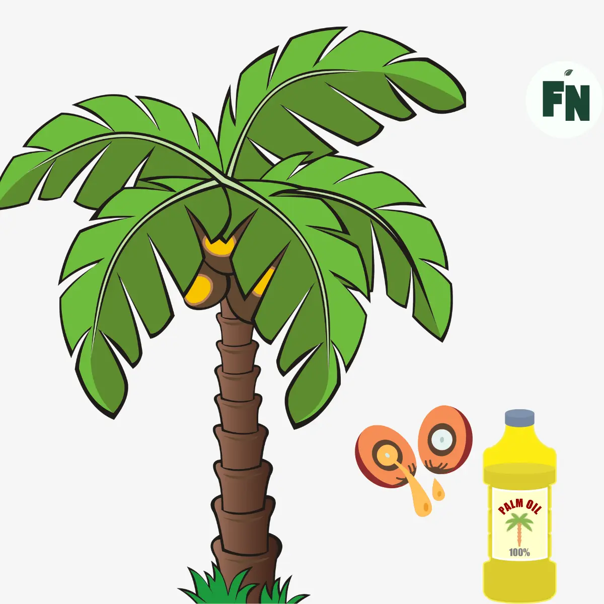 palm oil tree