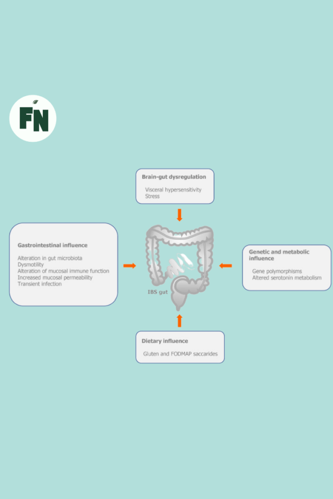 pathophysiology of IBS