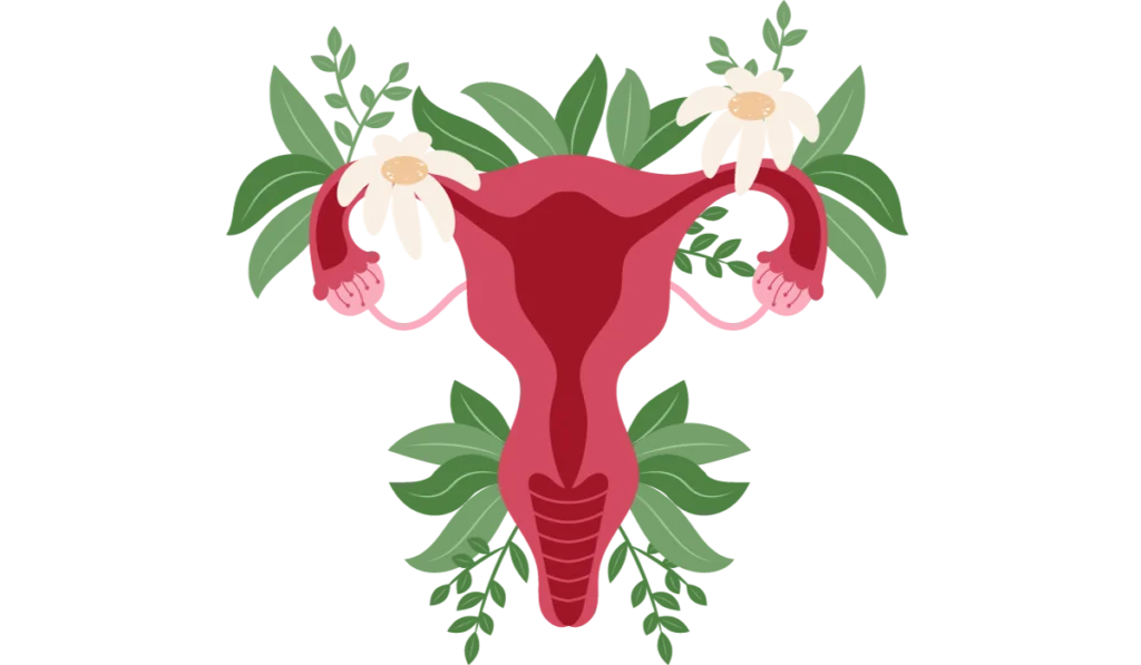 vaginal-microbiome-gut-dysbiosis-miscarrigage