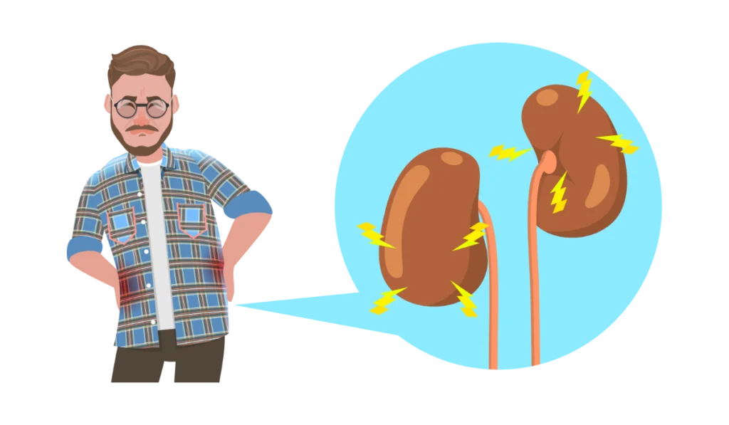 gut-kidney-axis-dysbiosis-kidney-diseases