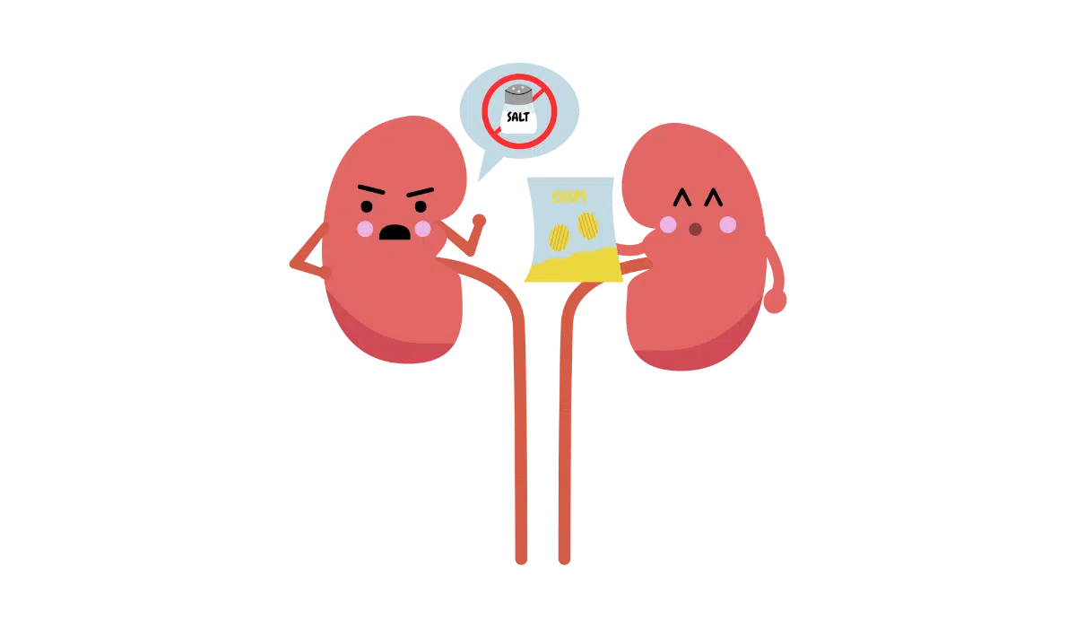 gut-kidney-axis-dysbiosis-kidney-diseases