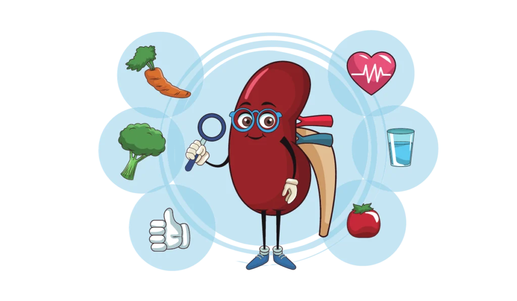 gut-kidney-axis-dysbiosis-kidney-diseases