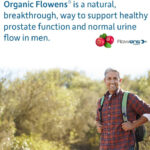 Prostate Health Probiotics Plus thumbnail