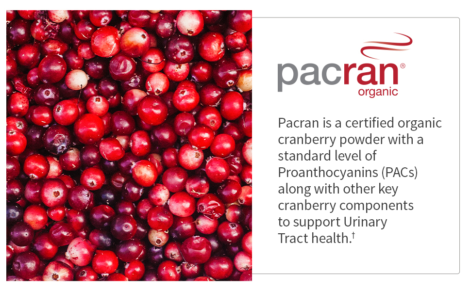 Urinary Tract 16 Probiotics 50 Billion CFU Clinically Studied Organic Pacran Cranberry Vitamin D3