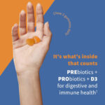 Flavorful Gut Probiotic Gummies thumbnail