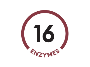 16 Enzymes