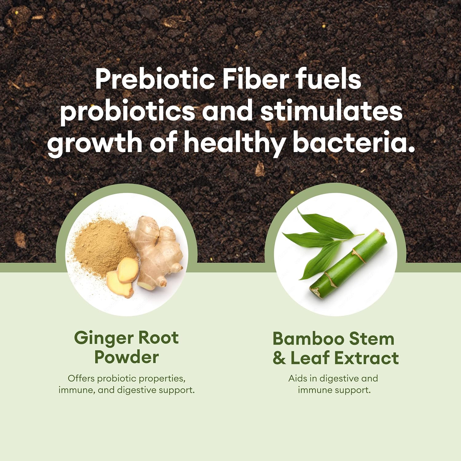 Pure Spore Forming Soil Based Probiotics