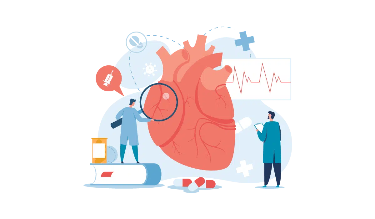 Heart Health Myths Linked to Gut Microbiota Debunked