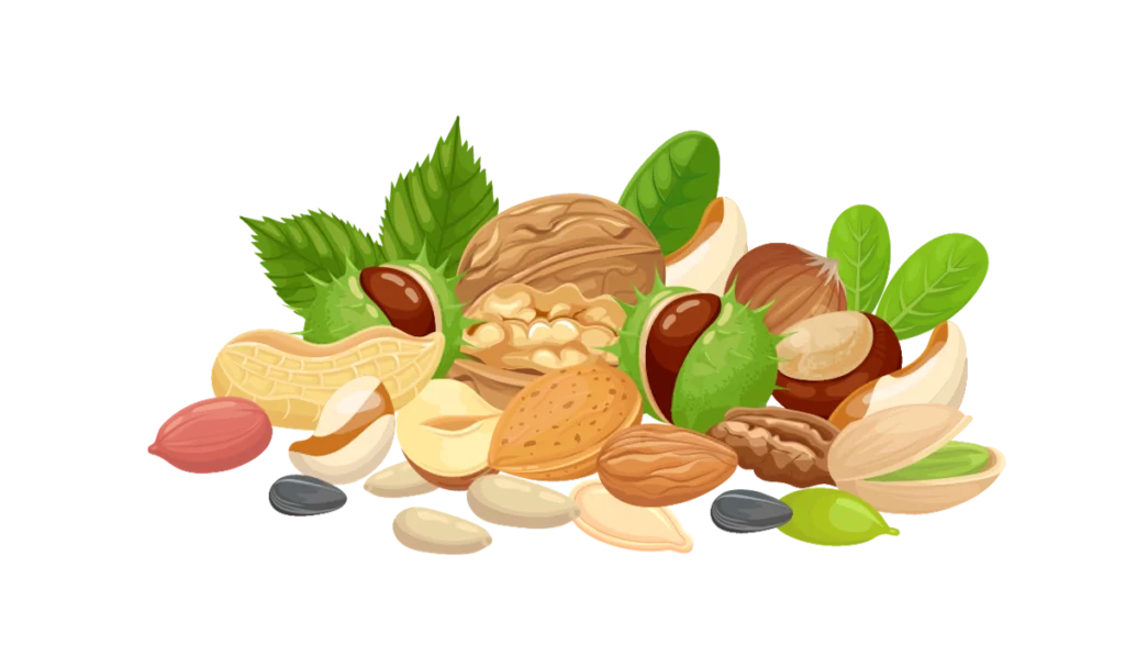 plant-based-fats-gut-microbiota