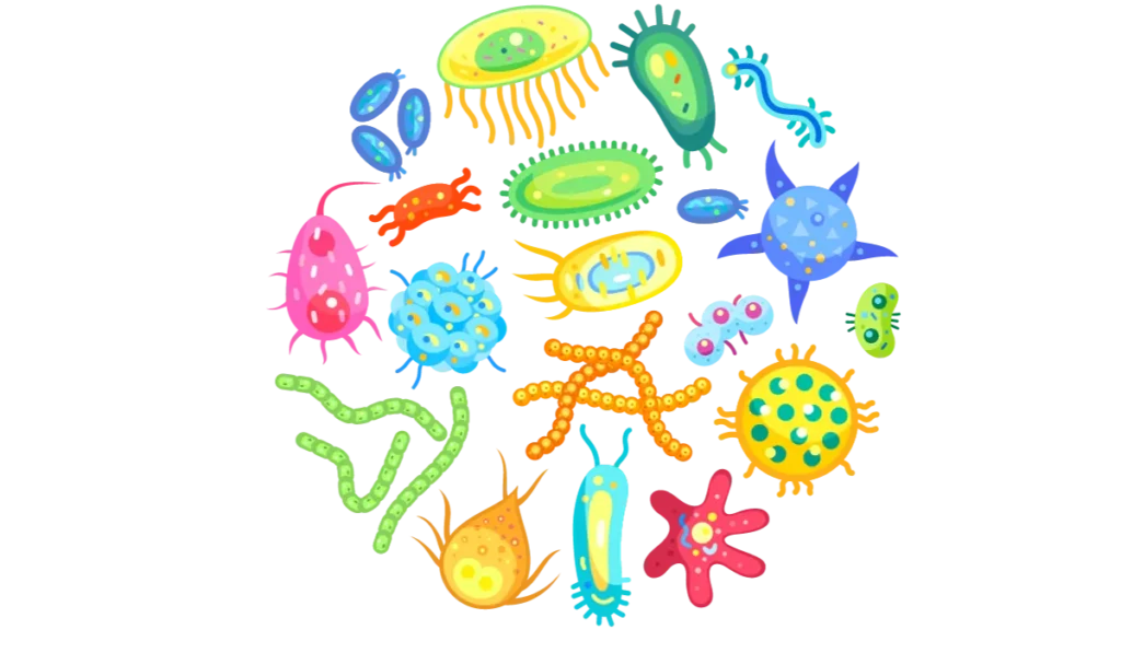 Maternal-Microbiota-And-Infant-Health