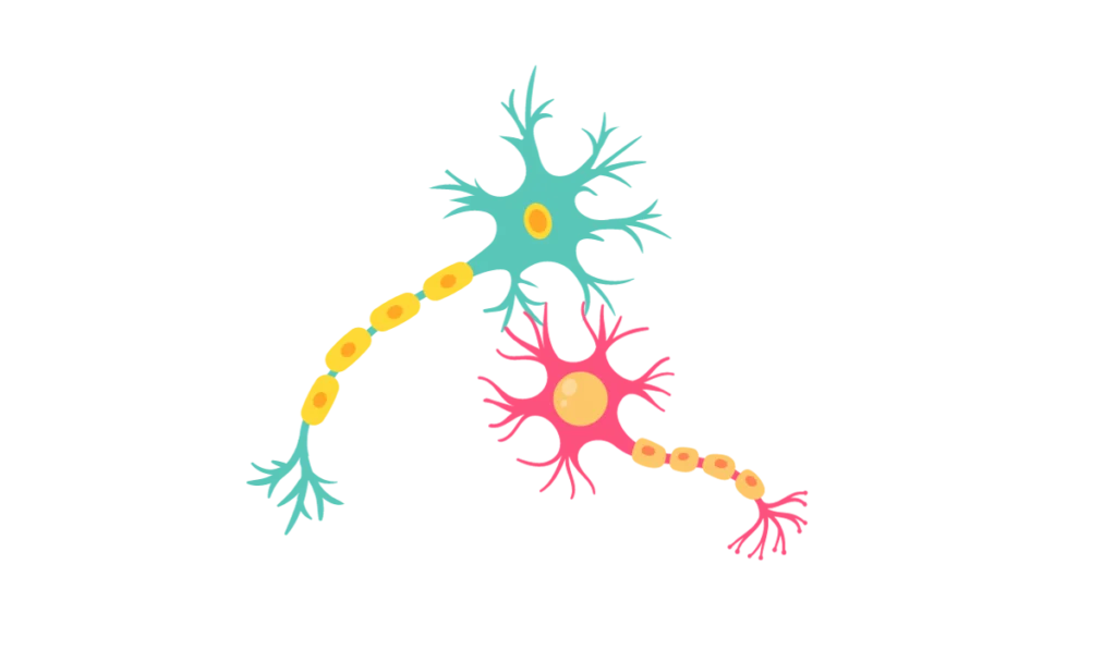 Functional Dyspepsia