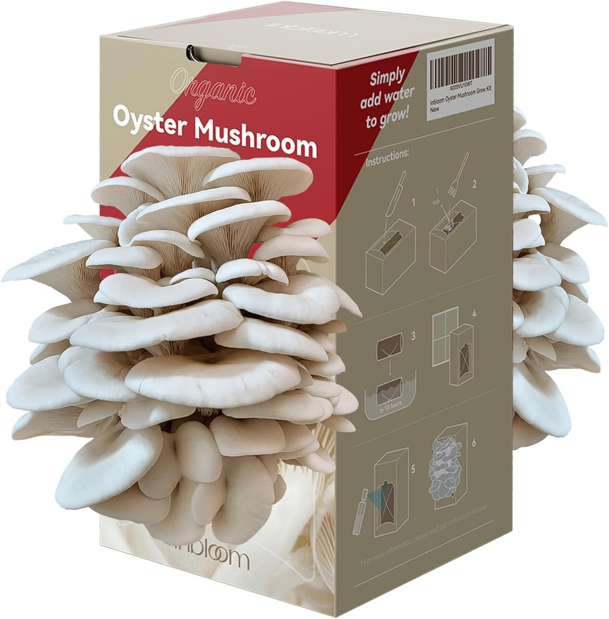 Organic Oyster Mushroom Grow Kit