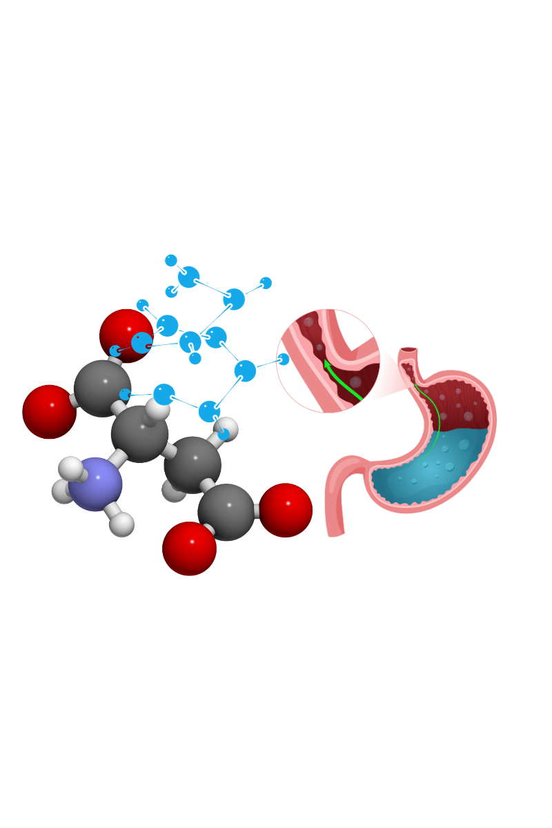 Insights into Short Chain Fatty Acids and Gut Microbiota