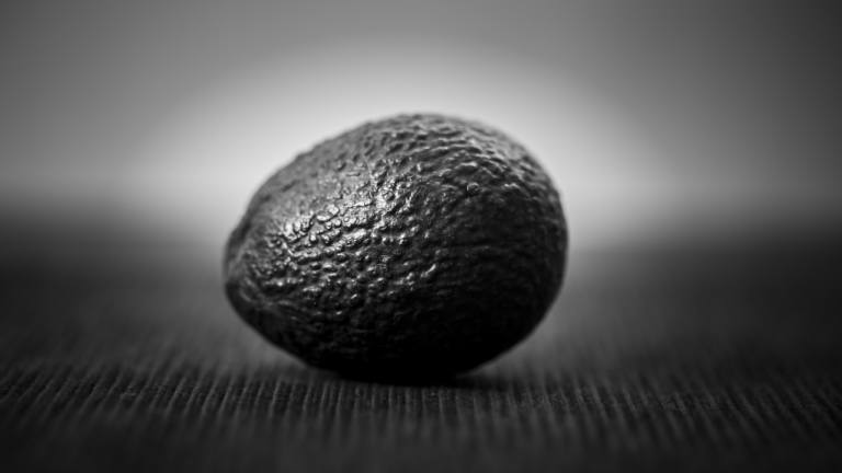Reasons from Avocado Health Benefits Research You Must Know