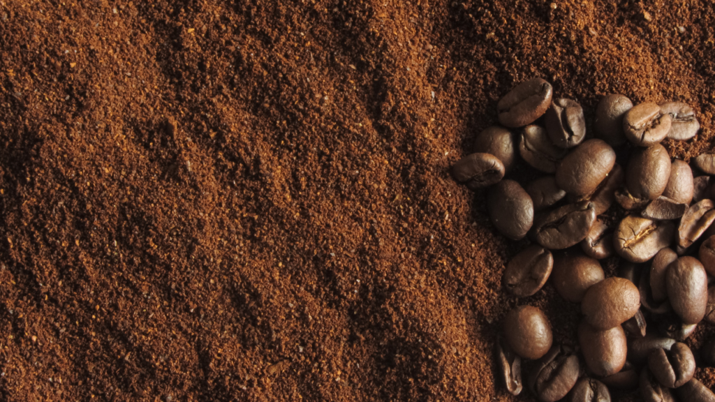 8 Organic Coffee Brands Behind Science for Your Better Health