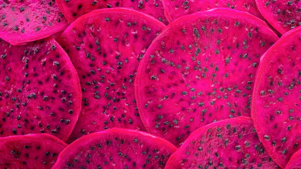 The 5 Best Organic Pitaya Powder for a Nutritious Boost